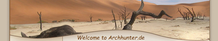         Welcome to Archhunter.de