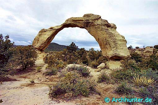 Cox Canon Arch-Neu Mexico 