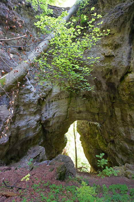 Baumfurt Felstor-Germany