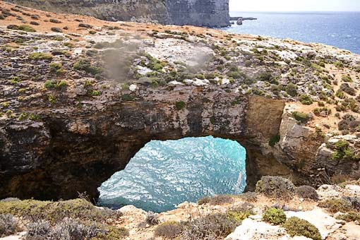 No name 3-Malta (Comino)