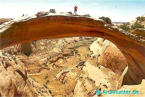 Eggshell Arch-Arizona