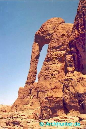 Elephant 2 Arch-Chad