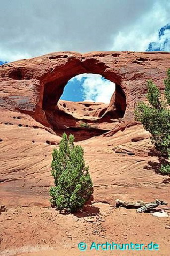 Honeymoon Arch-Arizona