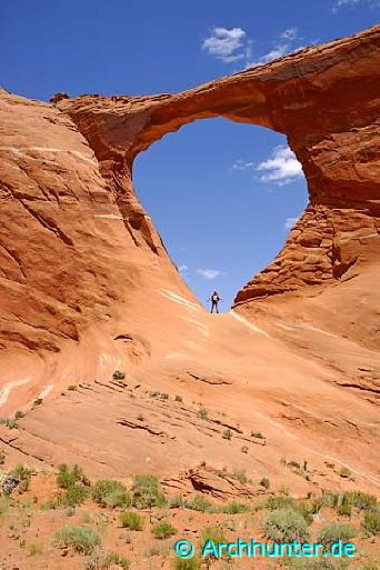 Hope Arch-Arizona